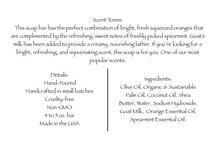 Load image into Gallery viewer, Florida Citrus Spearmint