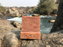 Load image into Gallery viewer, Carolina Tobacco Flower